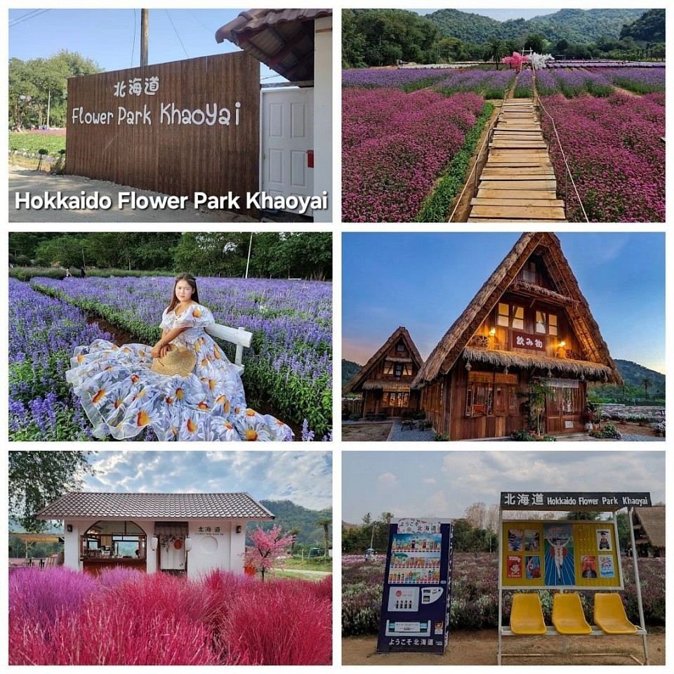 Interesting tourist attractions