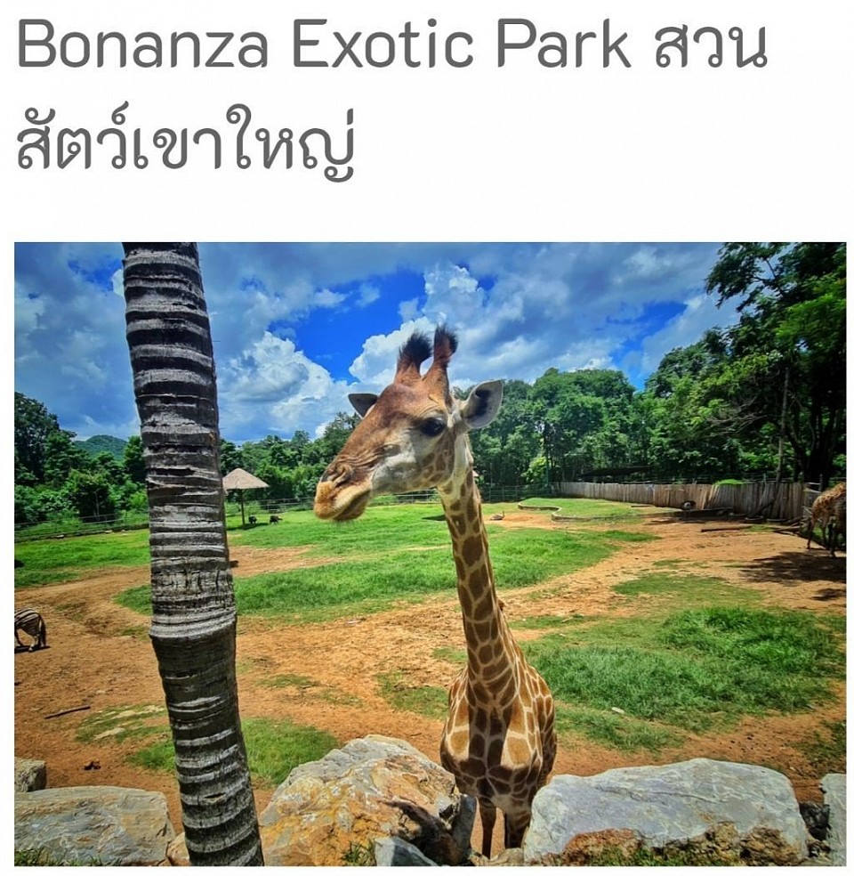 Interesting tourist attractions